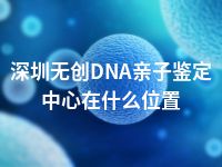 深圳无创DNA亲子鉴定中心在什么位置