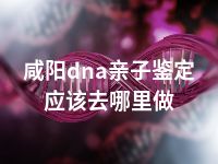 咸阳dna亲子鉴定应该去哪里做