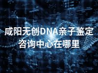 咸阳无创DNA亲子鉴定咨询中心在哪里