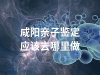 咸阳亲子鉴定应该去哪里做