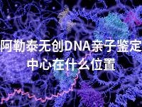 阿勒泰无创DNA亲子鉴定中心在什么位置