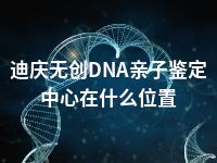 迪庆无创DNA亲子鉴定中心在什么位置