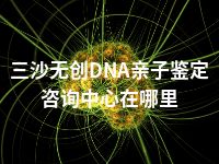 三沙无创DNA亲子鉴定咨询中心在哪里