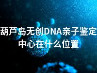 葫芦岛无创DNA亲子鉴定中心在什么位置