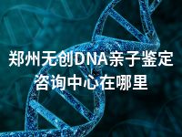 郑州无创DNA亲子鉴定咨询中心在哪里