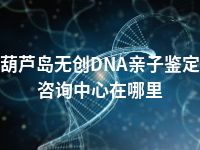 葫芦岛无创DNA亲子鉴定咨询中心在哪里