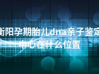 衡阳孕期胎儿dna亲子鉴定中心在什么位置