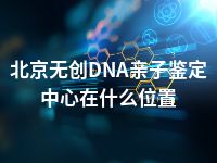 北京无创DNA亲子鉴定中心在什么位置