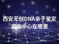 西安无创DNA亲子鉴定咨询中心在哪里