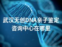 武汉无创DNA亲子鉴定咨询中心在哪里
