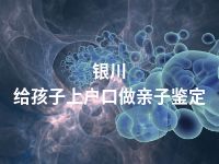 银川给孩子上户口做亲子鉴定