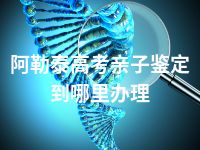 阿勒泰高考亲子鉴定到哪里办理