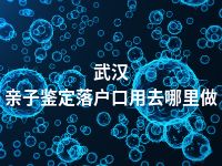 武汉亲子鉴定落户口用去哪里做