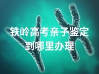 铁岭高考亲子鉴定到哪里办理