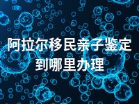 阿拉尔移民亲子鉴定到哪里办理