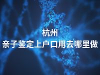 杭州亲子鉴定上户口用去哪里做