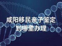 咸阳移民亲子鉴定到哪里办理