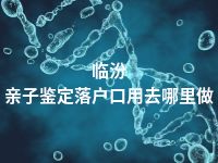 临汾亲子鉴定落户口用去哪里做