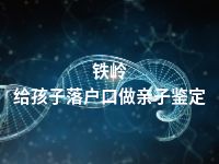 铁岭给孩子落户口做亲子鉴定