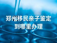 郑州移民亲子鉴定到哪里办理