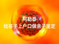 阿勒泰给孩子上户口做亲子鉴定