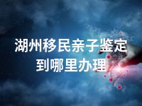 湖州移民亲子鉴定到哪里办理