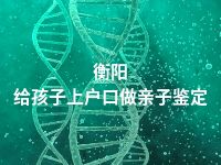 衡阳给孩子上户口做亲子鉴定