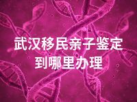武汉移民亲子鉴定到哪里办理