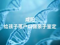 咸阳给孩子落户口做亲子鉴定