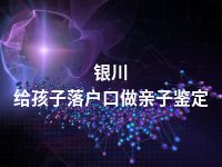 银川给孩子落户口做亲子鉴定