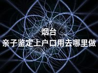 烟台亲子鉴定上户口用去哪里做