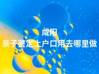 咸阳亲子鉴定上户口用去哪里做