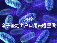 菏泽亲子鉴定上户口用去哪里做