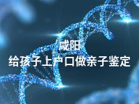 咸阳给孩子上户口做亲子鉴定