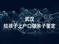 武汉给孩子上户口做亲子鉴定