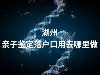 湖州亲子鉴定落户口用去哪里做