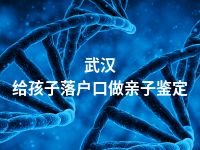 武汉给孩子落户口做亲子鉴定