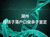 湖州给孩子落户口做亲子鉴定