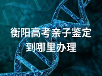 衡阳高考亲子鉴定到哪里办理