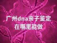 广州dna亲子鉴定在哪里能做