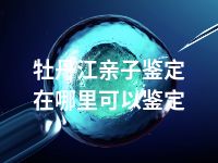 牡丹江亲子鉴定在哪里可以鉴定
