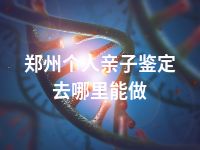 郑州个人亲子鉴定去哪里能做