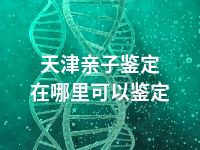 天津亲子鉴定在哪里可以鉴定