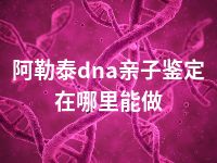 阿勒泰dna亲子鉴定在哪里能做