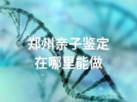 郑州亲子鉴定在哪里能做