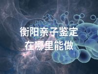 衡阳亲子鉴定在哪里能做