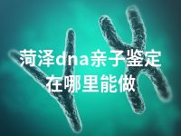 菏泽dna亲子鉴定在哪里能做