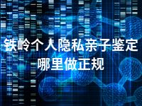 铁岭个人隐私亲子鉴定哪里做正规
