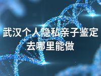 武汉个人隐私亲子鉴定去哪里能做