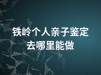 铁岭个人亲子鉴定去哪里能做